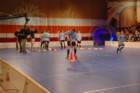 dsc_0513_small.jpg