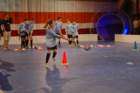 dsc_0519_small.jpg