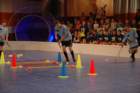 dsc_0541_small.jpg