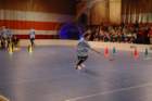 dsc_0662_small.jpg
